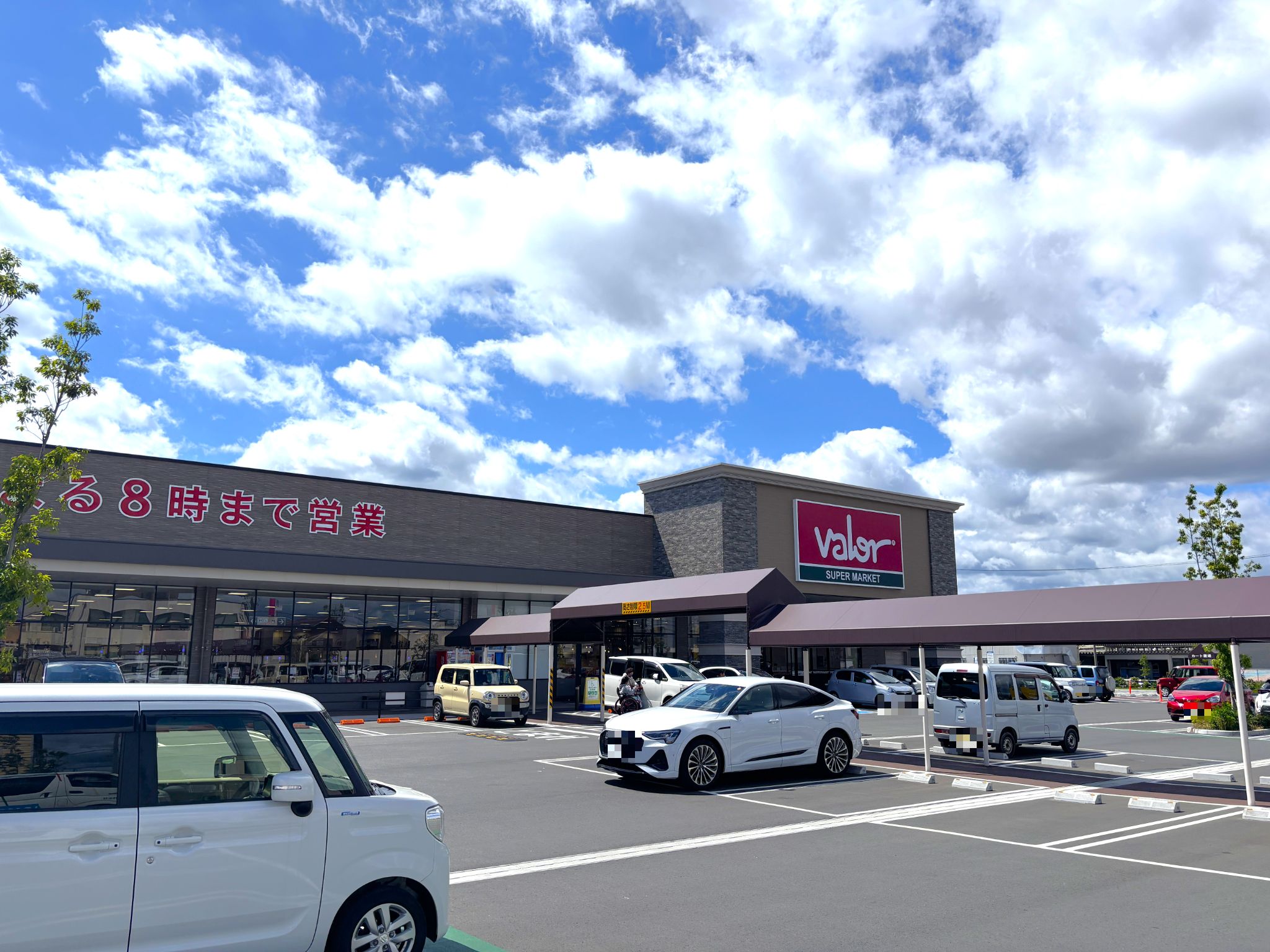 スーパーマーケットバロー豊橋菰口店